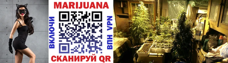 Канабис OG Kush  Купить  Кириллов 